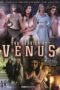 The Service of Venus (2019) The Service of Venus (2019)