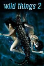 Wild Things 2 (2004)