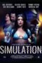 Simulation (2024) Simulation (2024)