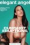 Cumshot Eruptions Vol. 4 (2021) Cumshot Eruptions Vol. 4 (2021)