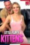Little Fluffy Kittens (2026) Little Fluffy Kittens (2026)